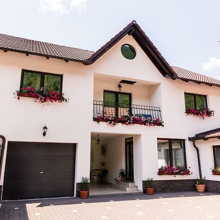 Vila Rodica Transalpina Sugag Ngoại thất bức ảnh