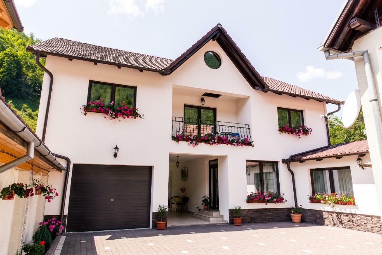 Vila Rodica Transalpina Sugag Ngoại thất bức ảnh