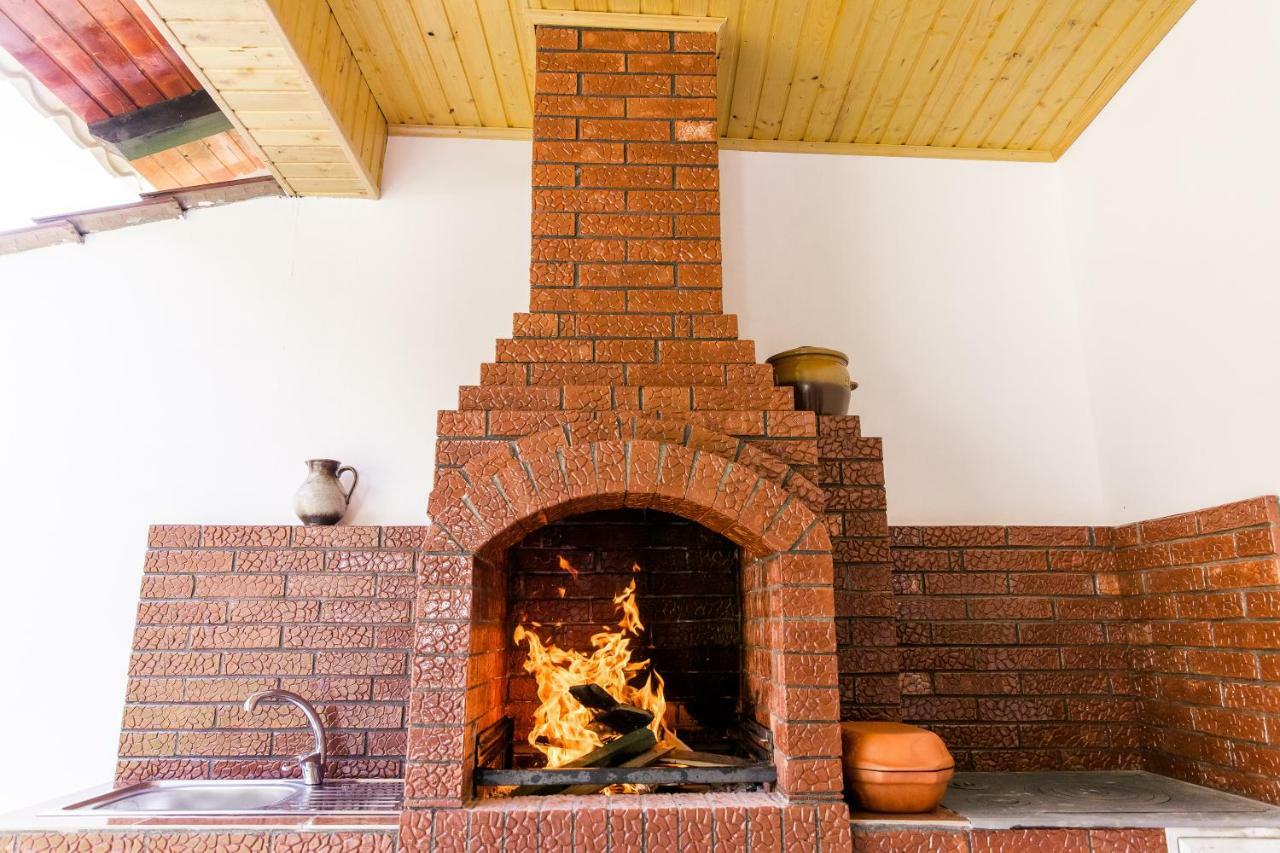 Vila Rodica Transalpina Sugag Ngoại thất bức ảnh