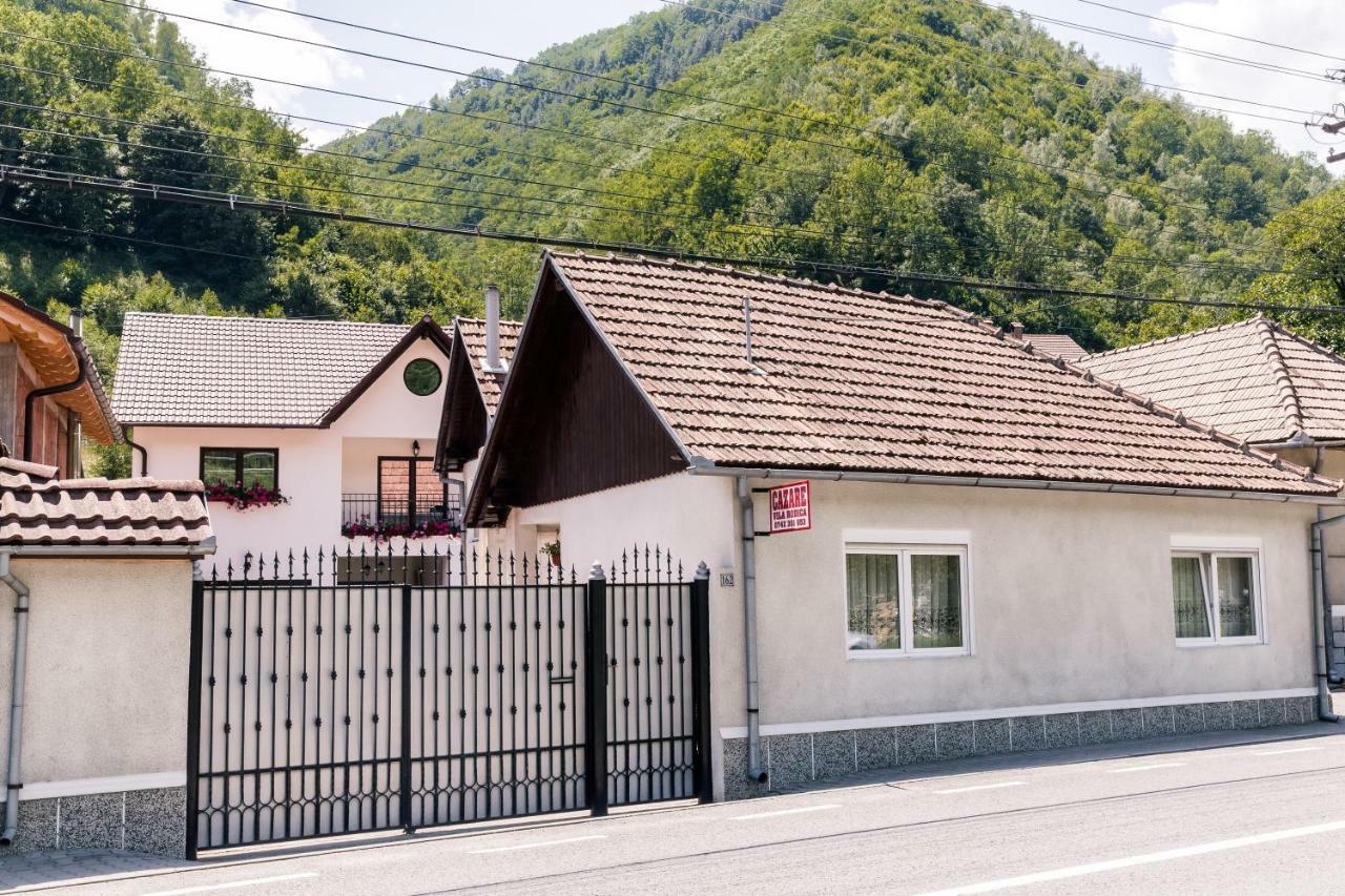 Vila Rodica Transalpina Sugag Ngoại thất bức ảnh