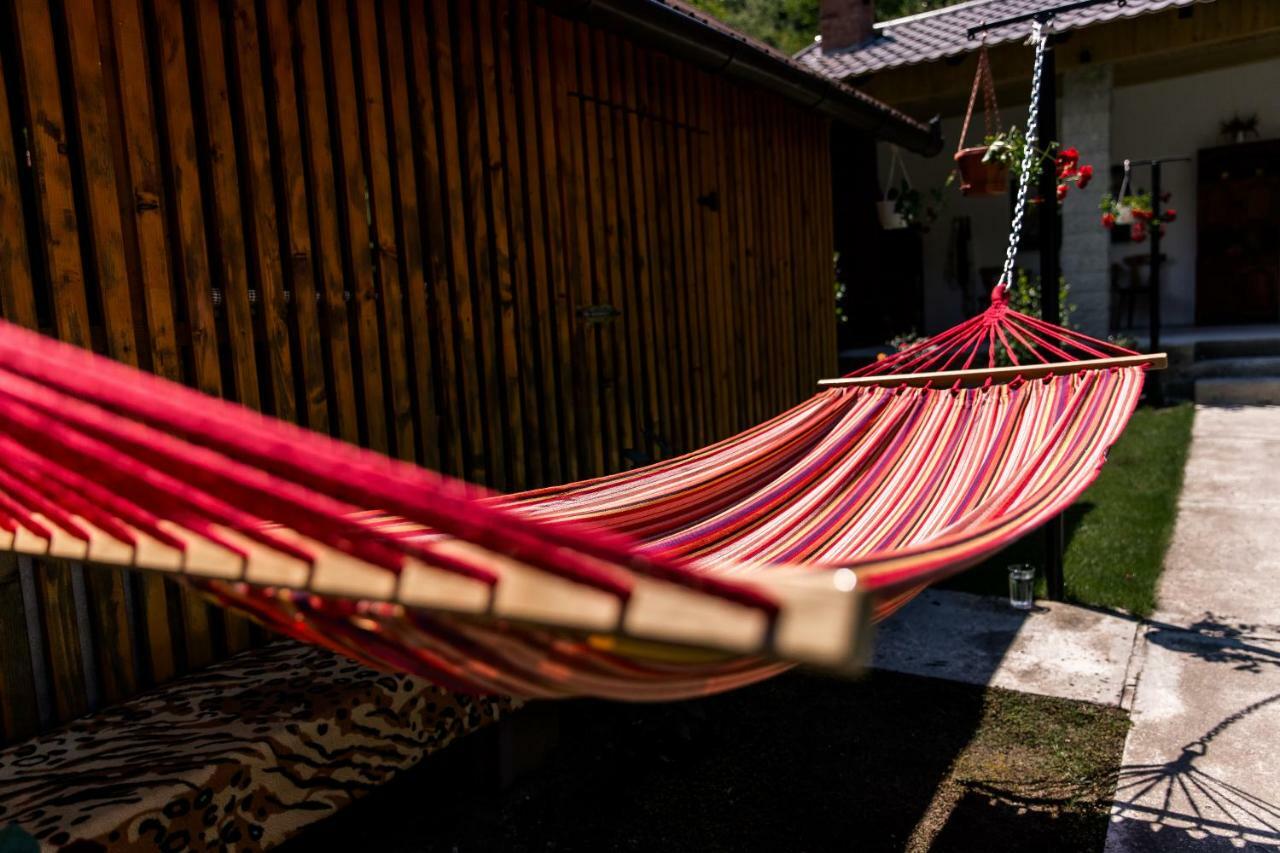 Vila Rodica Transalpina Sugag Ngoại thất bức ảnh