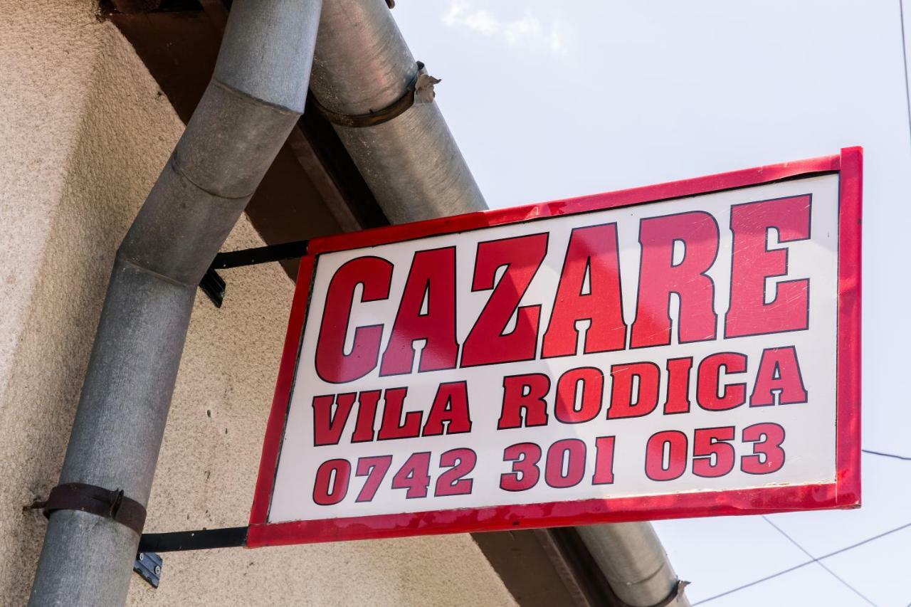Vila Rodica Transalpina Sugag Ngoại thất bức ảnh
