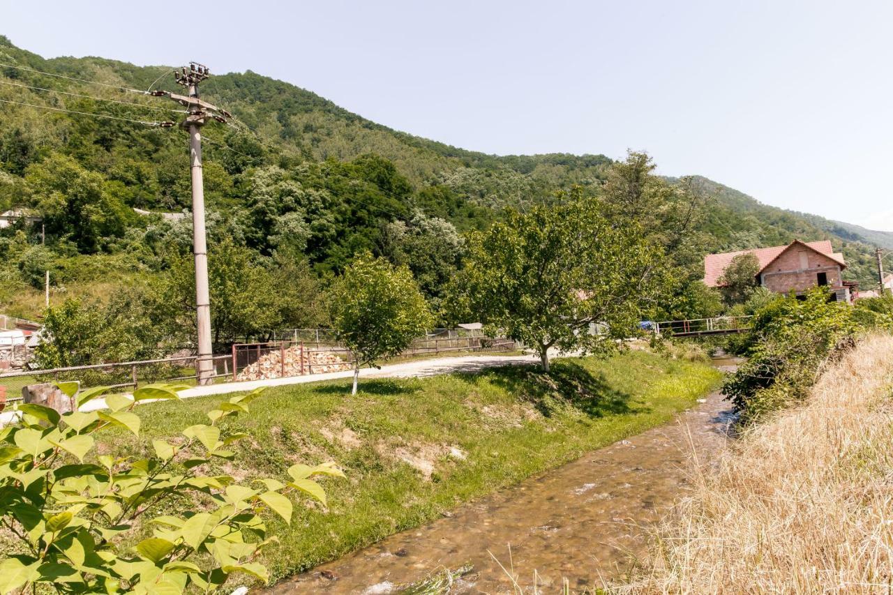 Vila Rodica Transalpina Sugag Ngoại thất bức ảnh